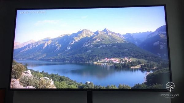 Météo et circulation : regardez la webcam de Vizzavona