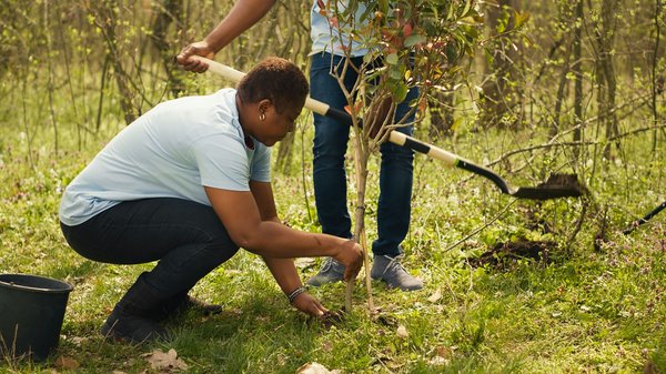 Quelles sont les meilleures méthodes pour protéger votre matériel de camping contre l'humidité en forêt tropicale?